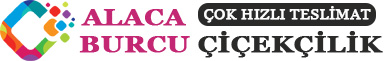 https://www.instagram.com/burcucicek_alaca/